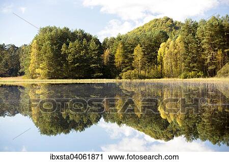 Stock Image - Pfalzer Woog or Pfalzerweiher in autumn, at Fischbach bei Dahn, Palatinate Forest, Rhineland-Palatinate, Germany, Europe. Fotosearch