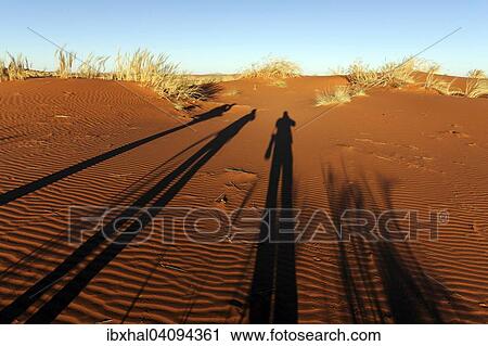 Stock Image - Photographers casting shadows on a sand dune, morning light, Namibia, Africa. Fotosearch