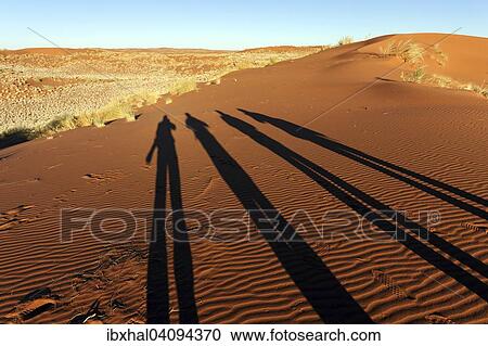 Photographers casting shadows on a sand dune, morning light, Namibia, Africa View Large Photo Image Stock Image - Photographers casting shadows on a sand dune, morning light, Namibia, Africa. Fotosearch