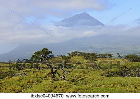 Pico mountain, Azores, Portugal, Europe View Large Photo Image Stock Image - Pico mountain, Azores, Portugal, Europe. Fotosearch