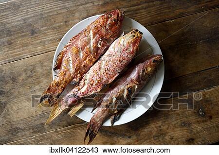 Plate of grilled fish, Salur, Simeulue, Indonesia, Asia View Large Photo Image Stock Image - Plate of grilled fish, Salur, Simeulue, Indonesia, Asia. Fotosearch