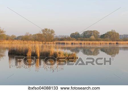 Ponds, Herbslebener Teiche Nature Reserve, Herbsleben, Thuringia, Germany, Europe View Large Photo Image Stock Image - Ponds, Herbslebener Teiche Nature Reserve, Herbsleben, Thuringia, Germany, Europe. Fotosearch