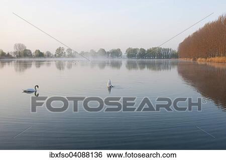 Stock Photograph - Ponds, Herbslebener Teiche Nature Reserve, Herbsleben, Thuringia, Germany, Europe. Fotosearch