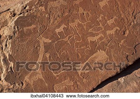 Prehistoric petroglyphs, rock engravings, Twyfelfontein, Namibia, Africa View Large Photo Image Stock Image - Prehistoric petroglyphs, rock engravings, Twyfelfontein, Namibia, Africa. Fotosearch
