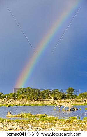 Rainbow over a waterhole, Etosha National Park, Namibia, Africa View Large Photo Image Stock Photo - Rainbow over a waterhole, Etosha National Park, Namibia, Africa. Fotosearch