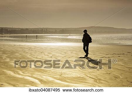 Rambler on the beach in winter, backlight, Plage Tagharte, Essaouira, Morocco, Africa View Large Photo Image Stock Photography - Rambler on the beach in winter, backlight, Plage Tagharte, Essaouira, Morocco, Africa. Fotosearch