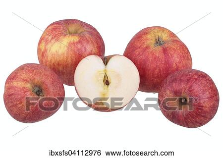 Stock Photograph - Red Gravenstein apple variety with cut? Çï? Çïapple. Fotosearch