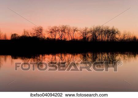 Reflection of trees in a pond, against an evening sky, Barnbruchswiesen meadows, Barnbruch Nature Reserve, near Wolfsburg, Lower Saxony, Germany, Europe View Large Photo Image Stock Image - Reflection of trees in a pond, against an evening sky, Barnbruchswiesen meadows, Barnbruch Nature Reserve, near Wolfsburg, Lower Saxony, Germany, Europe. Fotosearch