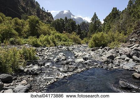 Rio Taburiente, Caldera de Taburiente National Park, La Palma, Canary Islands, Spain, Europe View Large Photo Image Stock Photograph - Rio Taburiente, Caldera de Taburiente National Park, La Palma, Canary Islands, Spain, Europe. Fotosearch