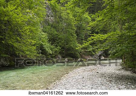 River Schwarza in the Hollental valley, Reichenau an der Rax, Vienna Alps, Lower Austria, Austria, Europe View Large Photo Image Stock Image - River Schwarza in the Hollental valley, Reichenau an der Rax, Vienna Alps, Lower Austria, Austria, Europe. Fotosearch