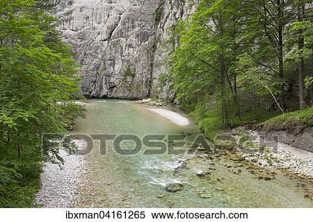 River Schwarza in the Hollental valley, Reichenau an der Rax, Vienna Alps, Lower Austria, Austria, Europe View Large Photo Image Stock Photography - River Schwarza in the Hollental valley, Reichenau an der Rax, Vienna Alps, Lower Austria, Austria, Europe. Fotosearch