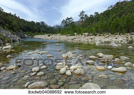 River Solenzara, Corse-du-Sud, Corsica, France, Europe View Large Photo Image Stock Image - River Solenzara, Corse-du-Sud, Corsica, France, Europe. Fotosearch