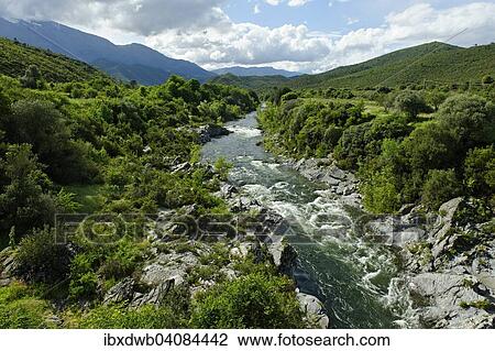 River Tavignone, Arrondissement Corte, Corsica, France, Europe View Large Photo Image Stock Image - River Tavignone, Arrondissement Corte, Corsica, France, Europe. Fotosearch