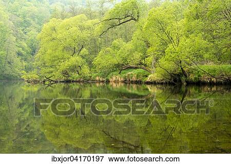 River Thaya, Thayatal National Park, Hardegg, Lower Austria, Austria, Europe View Large Photo Image Stock Photo - River Thaya, Thayatal National Park, Hardegg, Lower Austria, Austria, Europe. Fotosearch