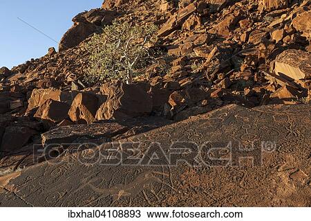 Rock drawings, engravings, rock formations, Twyfelfontein, Kunene Region, Namibia, Africa View Large Photo Image Stock Image - Rock drawings, engravings, rock formations, Twyfelfontein, Kunene Region, Namibia, Africa. Fotosearch