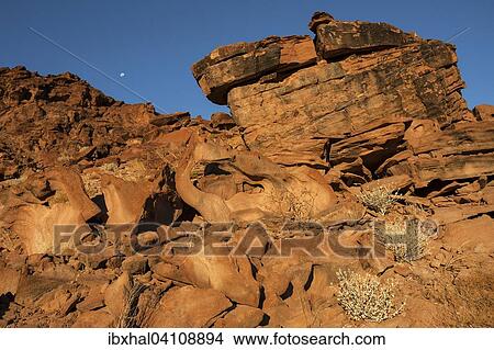 Rock formations, evening light, Twyfelfontein, Kunene Region, Namibia, Africa View Large Photo Image Picture - Rock formations, evening light, Twyfelfontein, Kunene Region, Namibia, Africa. Fotosearch