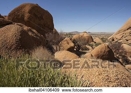 Rocks and vegetation in the Spitzkoppe area, Spitzkoppe, Damaraland, Namibia, Africa View Large Photo Image Stock Photo - Rocks and vegetation in the Spitzkoppe area, Spitzkoppe, Damaraland, Namibia, Africa. Fotosearch