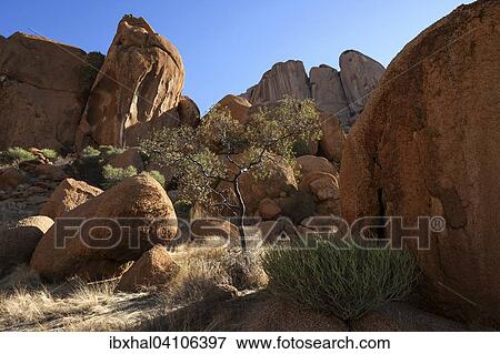 Rocks and vegetation, Spitzkoppe, Damaraland, Namibia, Africa View Large Photo Image Stock Photo - Rocks and vegetation, Spitzkoppe, Damaraland, Namibia, Africa. Fotosearch