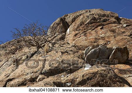 Rocks near C39 between Khorixas and Bersig, Kunene Region, Namibia, Africa View Large Photo Image Stock Image - Rocks near C39 between Khorixas and Bersig, Kunene Region, Namibia, Africa. Fotosearch