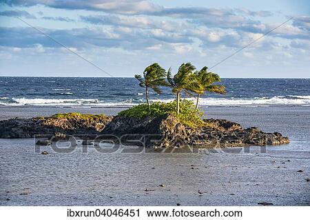 Rocky islet, Tutuila, American Samoa, Oceania View Large Photo Image Stock Image - Rocky islet, Tutuila, American Samoa, Oceania. Fotosearch