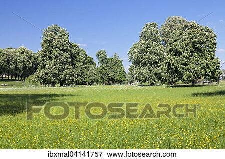 Rosenstein Park in the spring, Stuttgart, Baden-Wurttemberg, Germany, Europe View Large Photo Image Stock Photo - Rosenstein Park in the spring, Stuttgart, Baden-Wurttemberg, Germany, Europe. Fotosearch