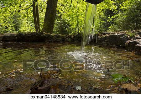 Picture - Rotmainquelle, source of the Red Main, Creussen, Upper Franconia, Franconia, Bavaria, Germany, Europe. Fotosearch