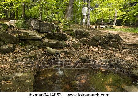 Rotmainquelle, source of the Red Main, Creussen, Upper Franconia, Franconia, Bavaria, Germany, Europe View Large Photo Image Stock Image - Rotmainquelle, source of the Red Main, Creussen, Upper Franconia, Franconia, Bavaria, Germany, Europe. Fotosearch