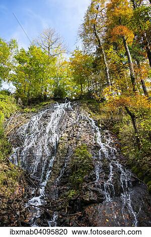 Stock Image - Rottach waterfall in the autumn, Rottach-Egern, Tegernsee valley, Bavaria, Germany, Europe. Fotosearch