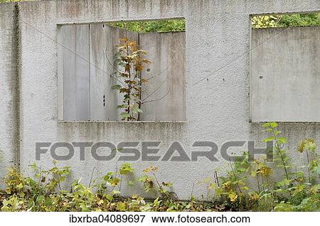 Ruins of a building, prefabricated concrete unit of a house, recaptured by nature, Mecklenburg-Western Pomerania, Germany, Europe View Large Photo Image Stock Photo - Ruins of a building, prefabricated concrete unit of a house, recaptured by nature, Mecklenburg-Western Pomerania, Germany, Europe. Fotosearch