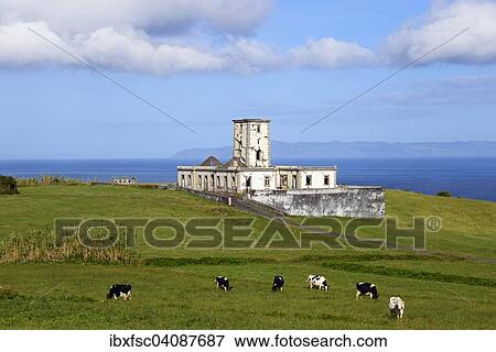 Ruins of the Farol da Ribeirinha or Ribeirinha Lighthouse, Ribeirinha, Faial, Azores, Portugal, Europe View Large Photo Image Stock Photo - Ruins of the Farol da Ribeirinha or Ribeirinha Lighthouse, Ribeirinha, Faial, Azores, Portugal, Europe. Fotosearch