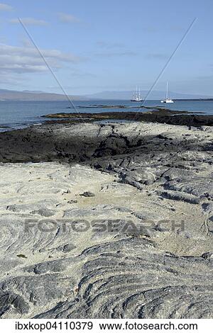 Sailboats anchored off the rocks at Punta Espinosa, Fernandina Island, Galapagos Islands, Ecuador, South America View Large Photo Image Stock Photo - Sailboats anchored off the rocks at Punta Espinosa, Fernandina Island, Galapagos Islands, Ecuador, South America. Fotosearch