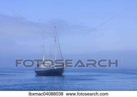 Sailing boat with fog, Lagoon, Walvis Bay, Namibia, Africa View Large Photo Image Stock Photo - Sailing boat with fog, Lagoon, Walvis Bay, Namibia, Africa. Fotosearch