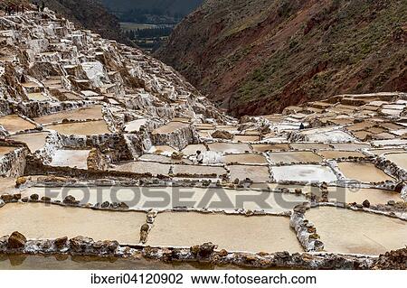 Stock Image - Salt mines of Maras, Sacred Valley of the Incas, Urubamba, Peru, South America. Fotosearch