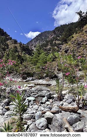 Stock Photo - Samaria Gorge National Park, Crete, Greece, Europe. Fotosearch