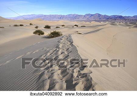 Stock Image - Sand dune in Death Valley, Nevada, United States, North America. Fotosearch