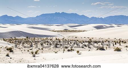 Sand dunes, desert panorama, mountains behind, White Sands National Monument, Alamogordo, New Mexico, USA View Large Photo Image Stock Photo - Sand dunes, desert panorama, mountains behind, White Sands National Monument, Alamogordo, New Mexico, USA. Fotosearch