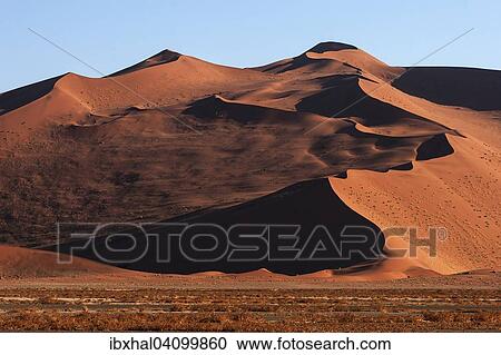 Stock Image - Sand dunes, evening light, Sossusvlei, Namib Desert, Namib-Naukluft National Park, Namibia, Africa. Fotosearch