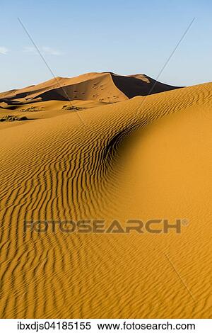 Sand dunes in morning light, Merzouga, Meknes-Tafilalet Region, Morocco, Africa View Large Photo Image Stock Photography - Sand dunes in morning light, Merzouga, Meknes-Tafilalet Region, Morocco, Africa. Fotosearch