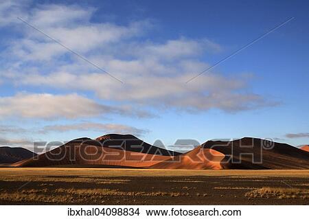Sand dunes in Sossusvlei, evening light, Namib Desert, Namib Naukluft Park, Namibia, Africa View Large Photo Image Picture - Sand dunes in Sossusvlei, evening light, Namib Desert, Namib Naukluft Park, Namibia, Africa. Fotosearch