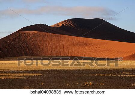 Sand dunes in Sossusvlei, evening light, Namib Desert, Namib Naukluft Park, Namibia, Africa View Large Photo Image Stock Photography - Sand dunes in Sossusvlei, evening light, Namib Desert, Namib Naukluft Park, Namibia, Africa. Fotosearch