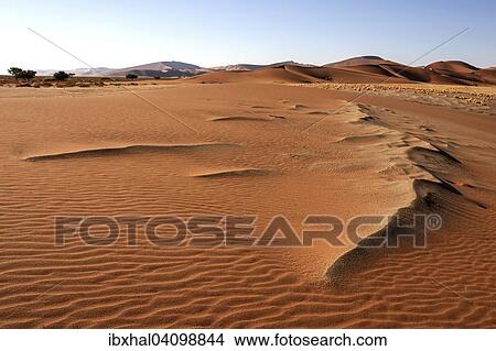 Sand dunes, Sossusvlei, Namib Desert, Namib Naukluft Park, Namibia, Africa View Large Photo Image Picture - Sand dunes, Sossusvlei, Namib Desert, Namib Naukluft Park, Namibia, Africa. Fotosearch