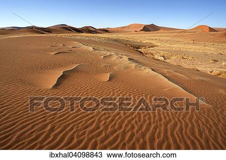 Sand dunes, Sossusvlei, Namib Desert, Namib Naukluft Park, Namibia, Africa View Large Photo Image Stock Image - Sand dunes, Sossusvlei, Namib Desert, Namib Naukluft Park, Namibia, Africa. Fotosearch