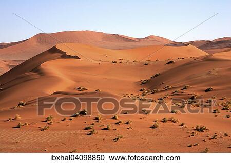 Sand dunes, Sossusvlei, Namib Desert, Namib Naukluft Park, Namibia, Africa View Large Photo Image Stock Image - Sand dunes, Sossusvlei, Namib Desert, Namib Naukluft Park, Namibia, Africa. Fotosearch