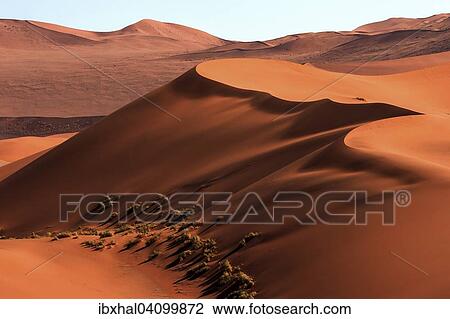 Stock Image - Sand dunes, Sossusvlei, Namib Desert, Namib-Naukluft National Park, Namibia, Africa. Fotosearch