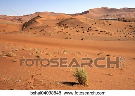 Stock Photo - Sand dunes, Sossusvlei, Namib Desert, Namib Naukluft Park, Namibia, Africa. Fotosearch