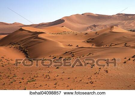 Sand dunes, Sossusvlei, Namib Desert, Namib Naukluft Park, Namibia, Africa View Large Photo Image Stock Photo - Sand dunes, Sossusvlei, Namib Desert, Namib Naukluft Park, Namibia, Africa. Fotosearch