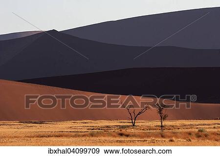 Stock Photo - Sand dunes, Sossusvlei, Namib Desert, Namib-Naukluft National Park, Namibia, Africa. Fotosearch