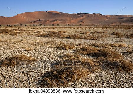 Sand dunes, Sossusvlei, Namib Desert, Namib Naukluft Park, Namibia, Africa View Large Photo Image Stock Photograph - Sand dunes, Sossusvlei, Namib Desert, Namib Naukluft Park, Namibia, Africa. Fotosearch