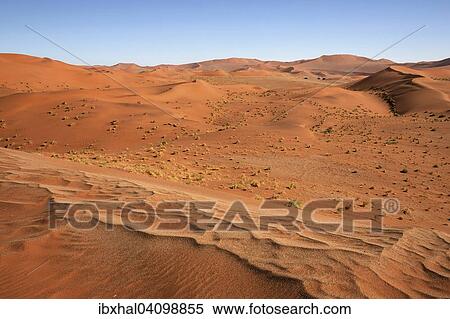 Sand dunes, Sossusvlei, Namib Desert, Namib Naukluft Park, Namibia, Africa View Large Photo Image Stock Photography - Sand dunes, Sossusvlei, Namib Desert, Namib Naukluft Park, Namibia, Africa. Fotosearch