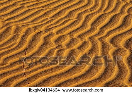 Sand ribs, Adrar region, Mauritania, Africa View Large Photo Image Picture - Sand ribs, Adrar region, Mauritania, Africa. Fotosearch